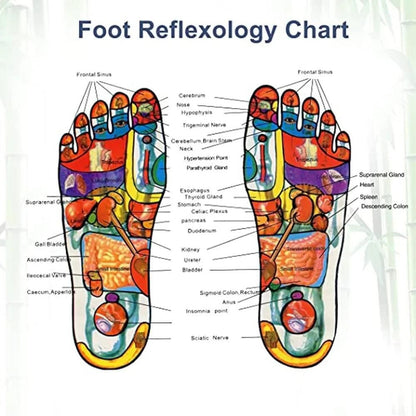 Aliver Natural Detox Foot Pads (Pack of 20)
